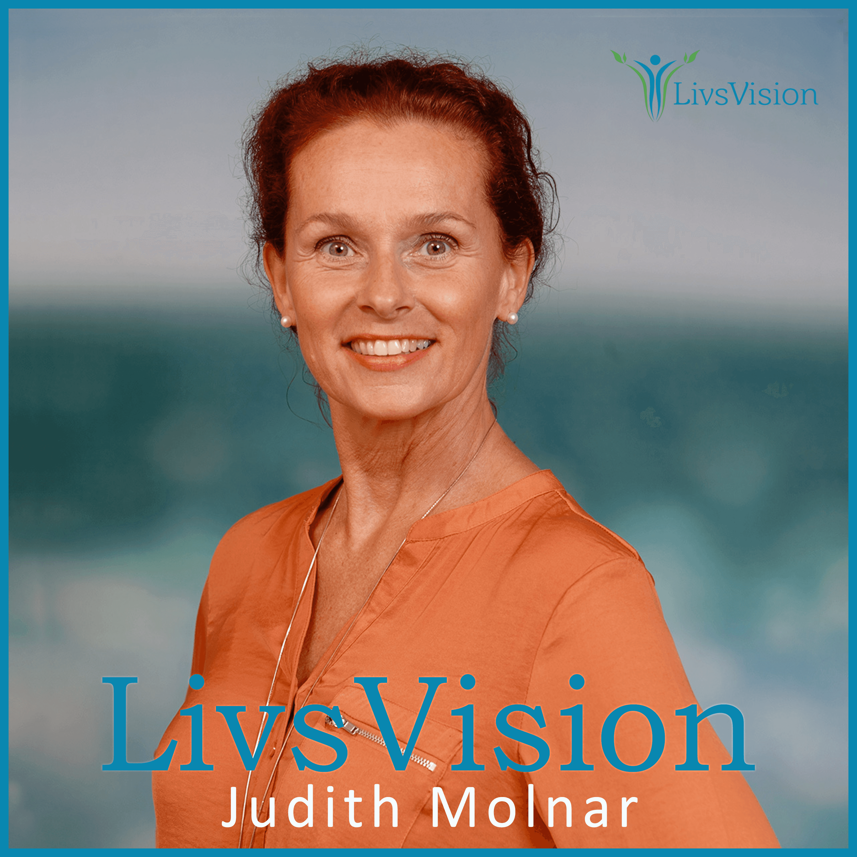 LivsVision