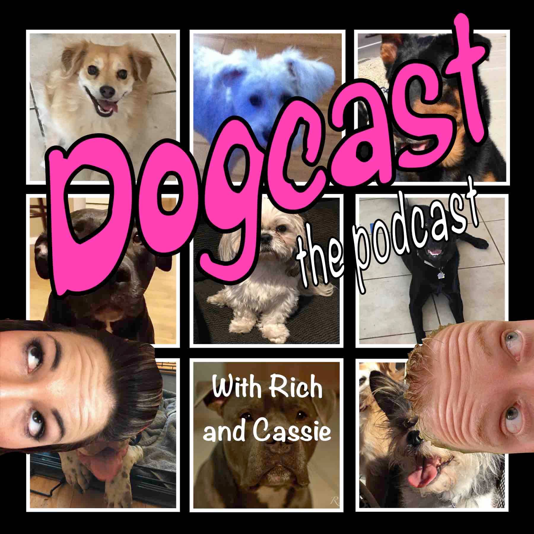 Dogcast the Podcast